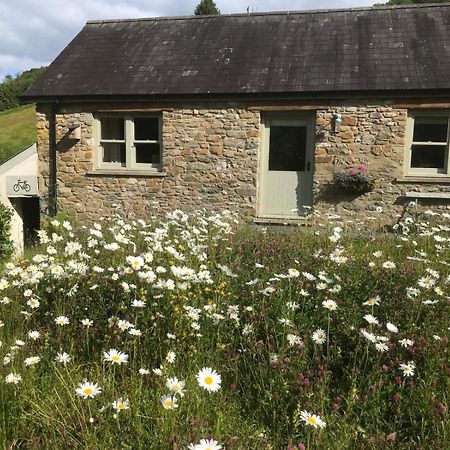 Danygraig Cottage Carmarthen Exterior photo