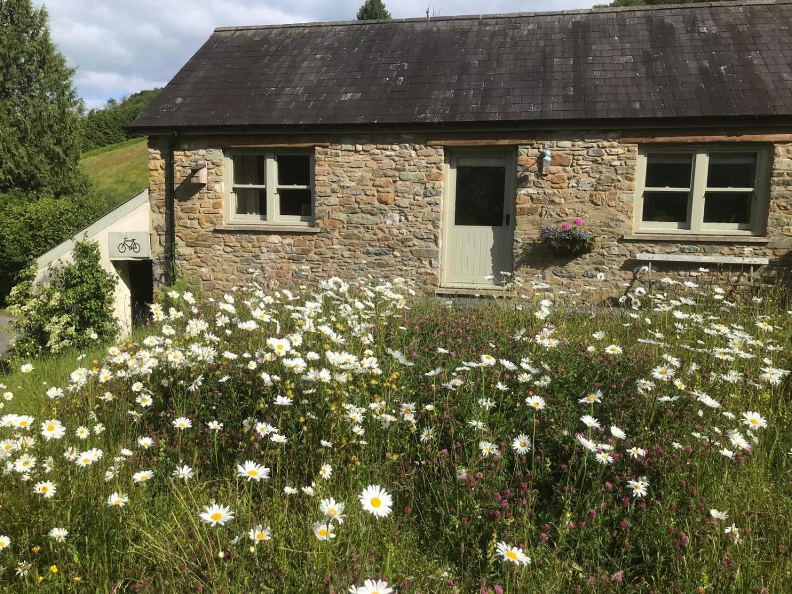 Danygraig Cottage Carmarthen Exterior photo