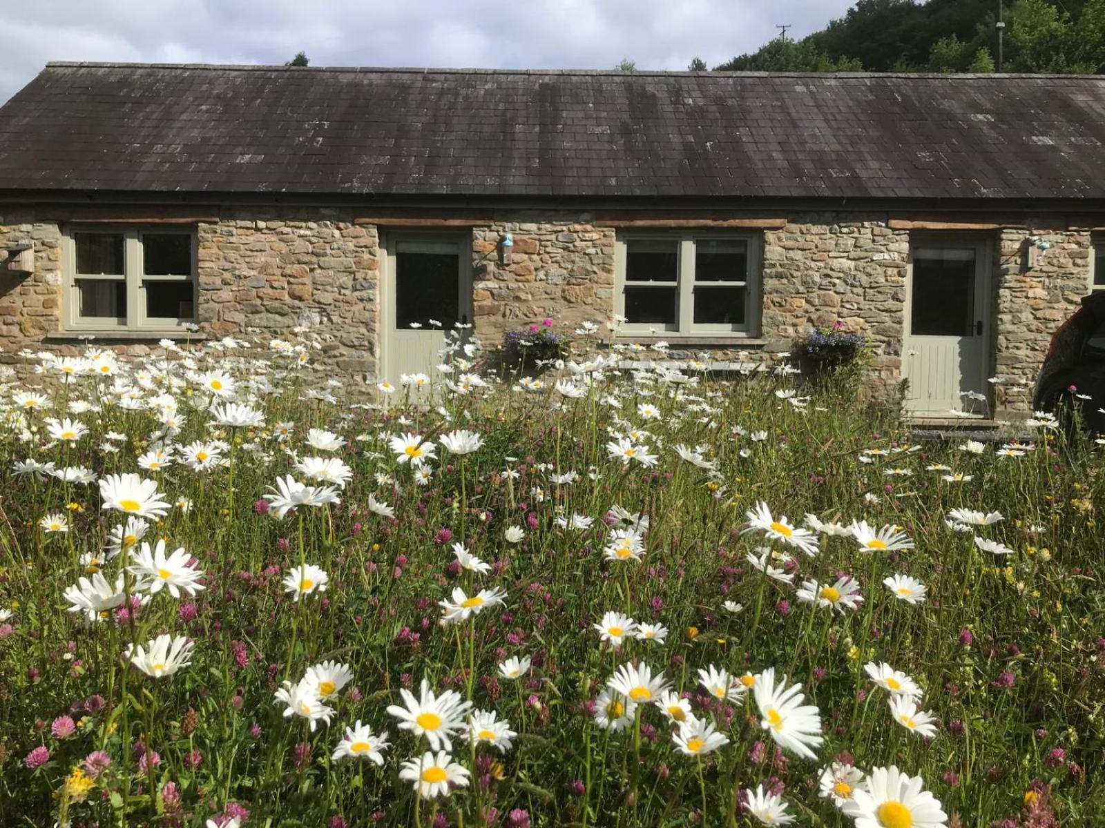 Danygraig Cottage Carmarthen Exterior photo
