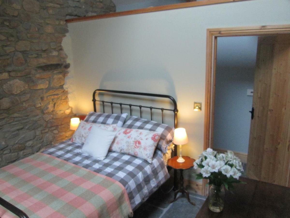 Danygraig Cottage Carmarthen Exterior photo